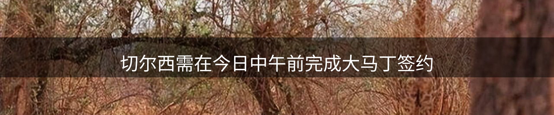 内页banner